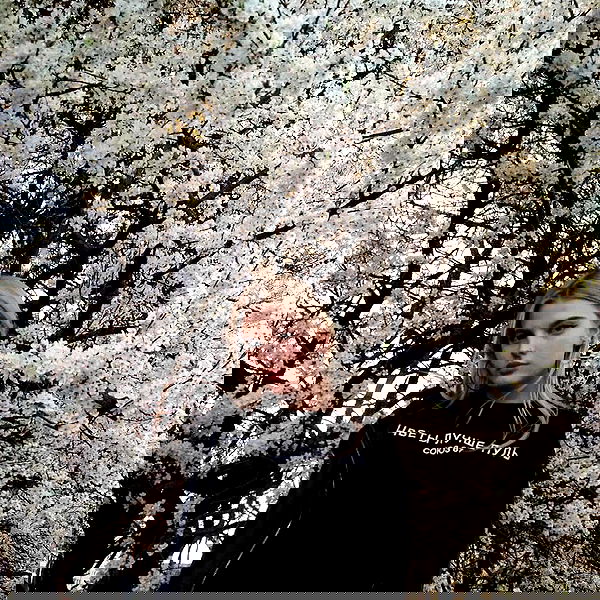 annfigma annfigma archive image