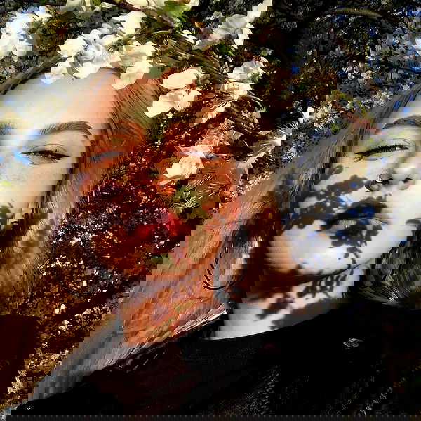 annfigma annfigma archive image