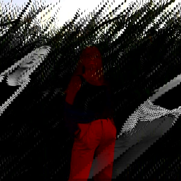 annfigma annfigma archive image