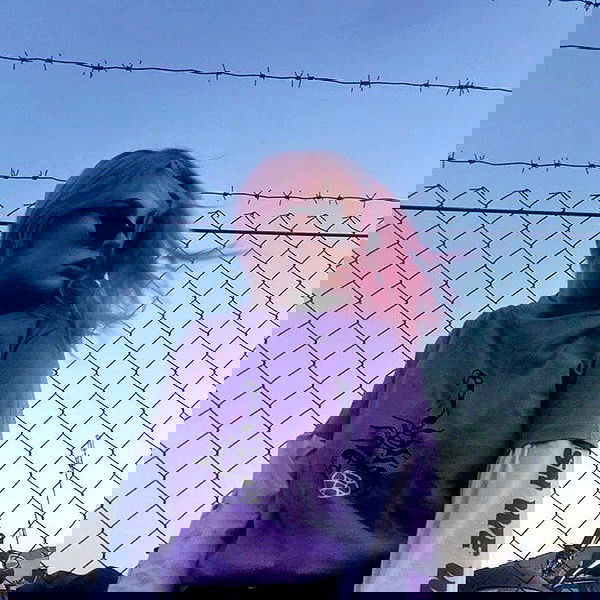 annfigma annfigma archive image