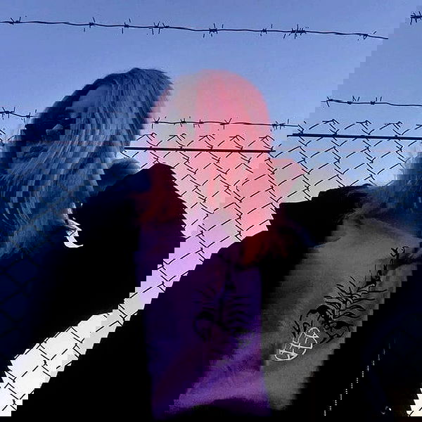 annfigma annfigma archive image