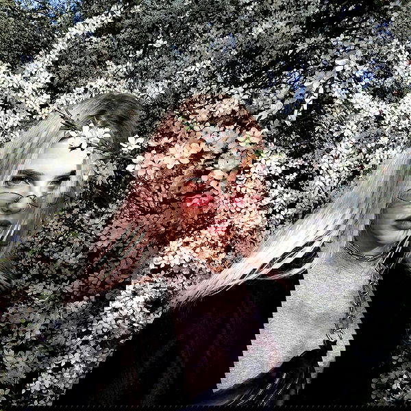 annfigma annfigma archive image