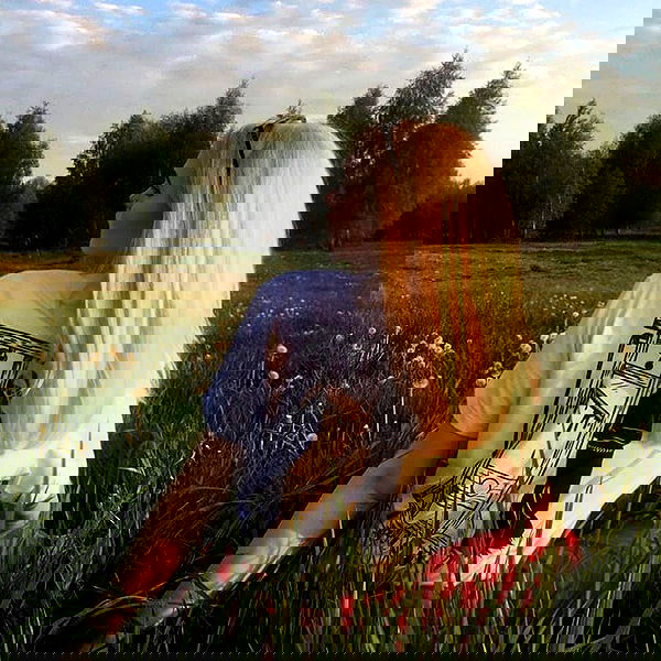 annfigma annfigma archive image