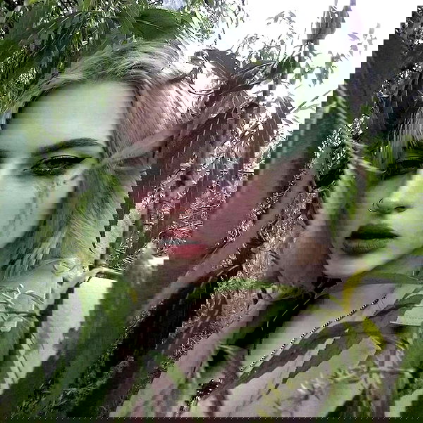 annfigma annfigma archive image