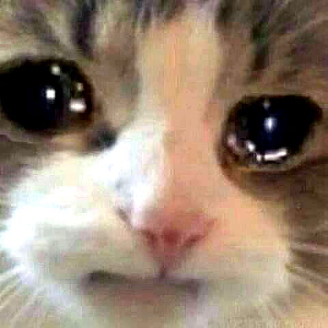 annfigma annfigma archive image