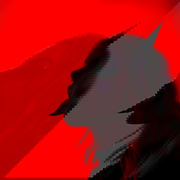 annfigma annfigma archive image