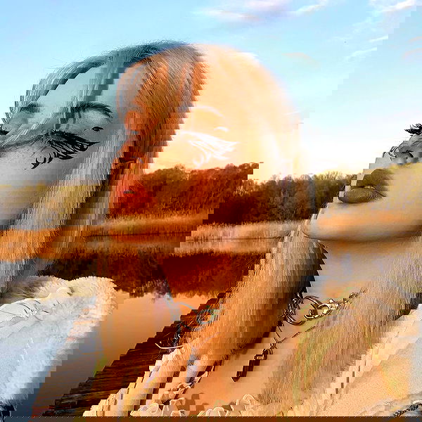 annfigma annfigma archive image