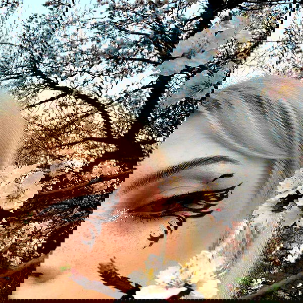 annfigma annfigma archive image