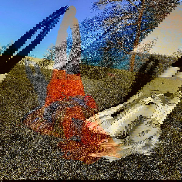 annfigma annfigma archive image