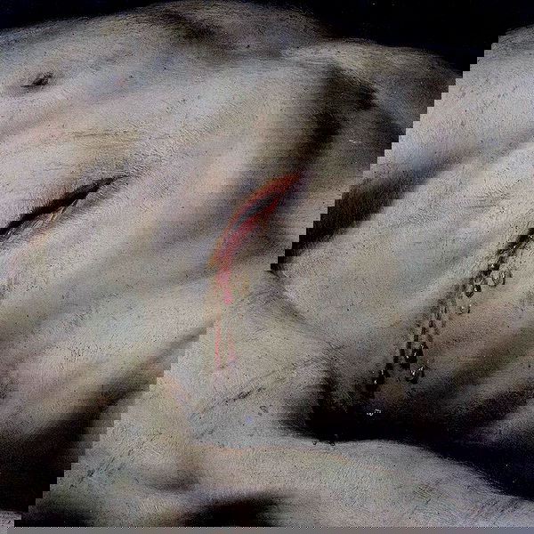 annfigma annfigma archive image