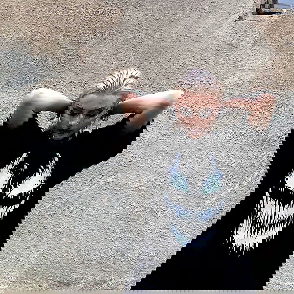 annfigma annfigma archive image