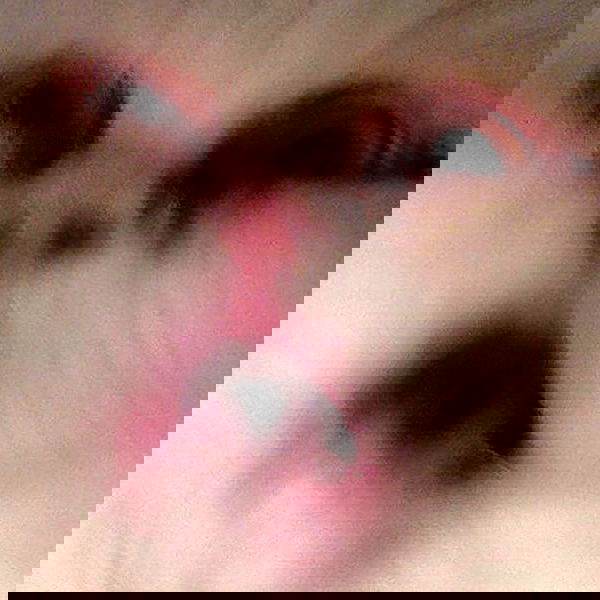 annfigma annfigma archive image