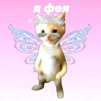 annfigma annfigma archive image