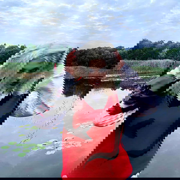 annfigma annfigma archive image