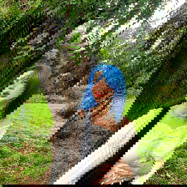 annfigma annfigma archive image