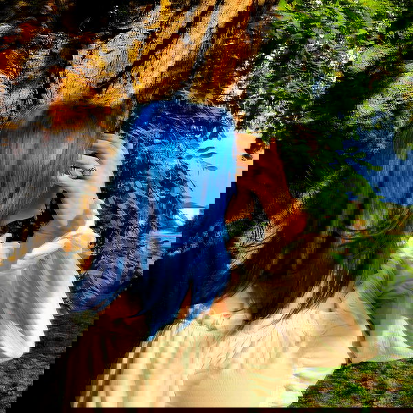 annfigma annfigma archive image