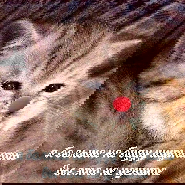 annfigma annfigma archive image