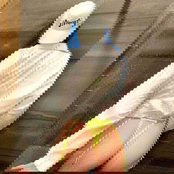 annfigma annfigma archive image