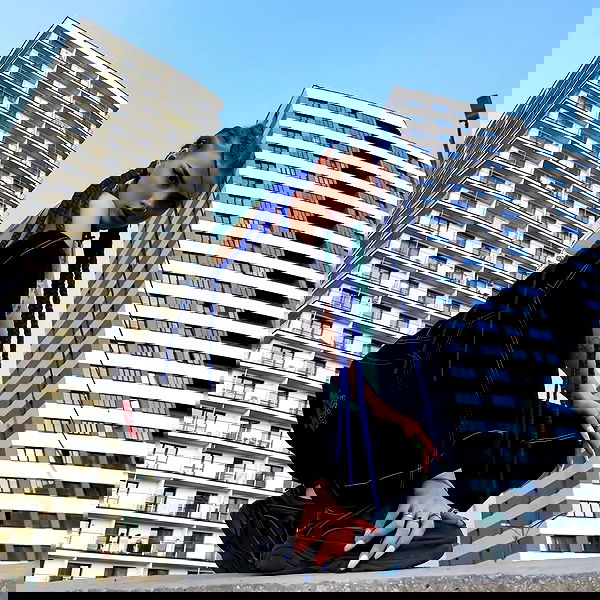 annfigma annfigma archive image