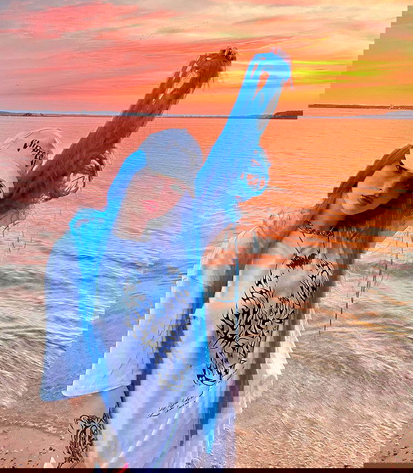 annfigma annfigma archive image