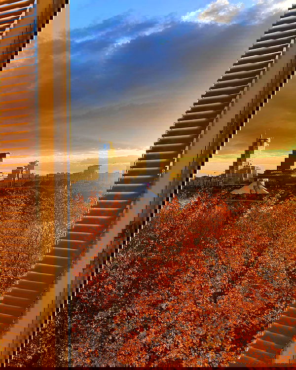 annfigma annfigma archive image