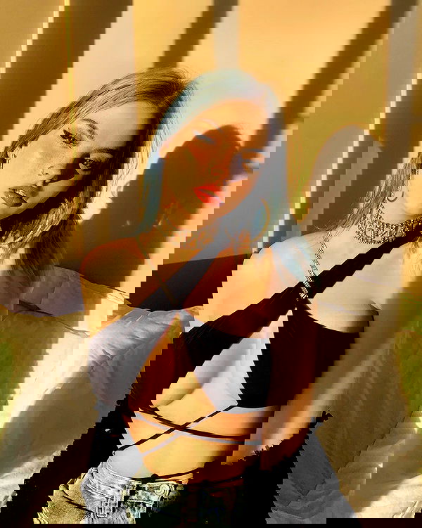 annfigma annfigma archive image