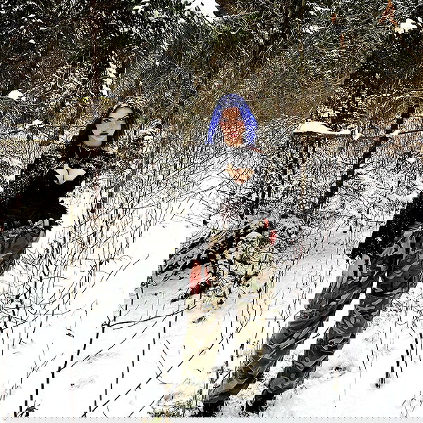 annfigma annfigma archive image