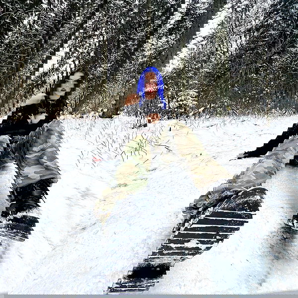 annfigma annfigma archive image