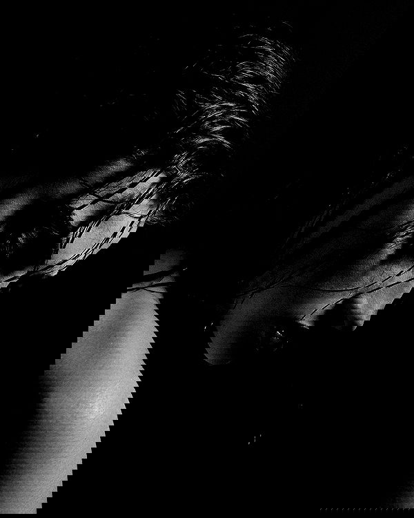 annfigma annfigma archive image