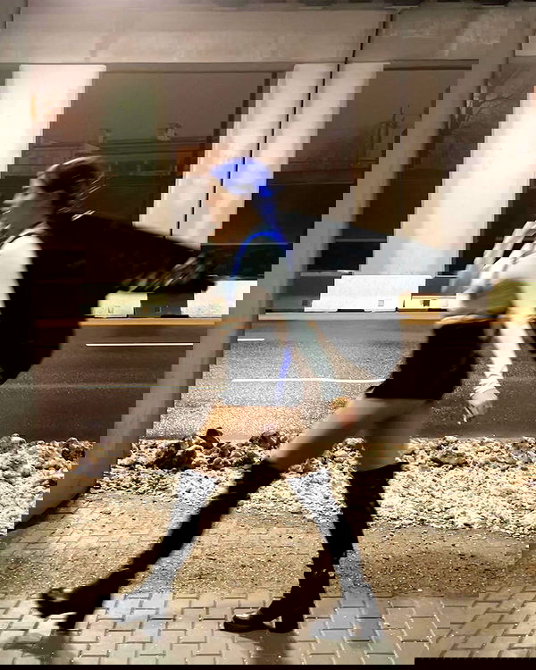 annfigma annfigma archive image