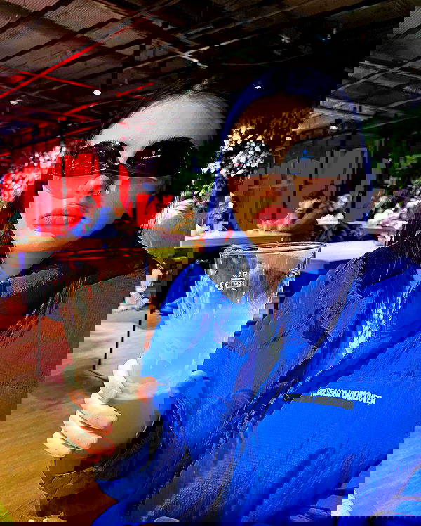 annfigma annfigma archive image