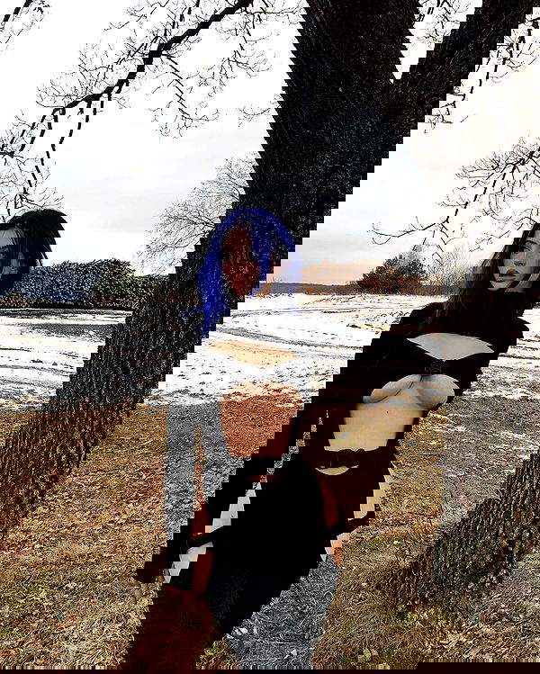 annfigma annfigma archive image