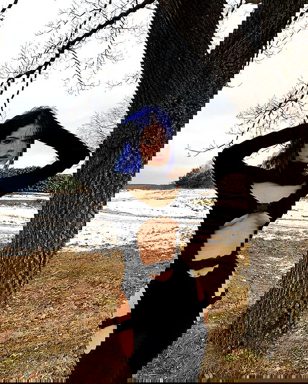 annfigma annfigma archive image