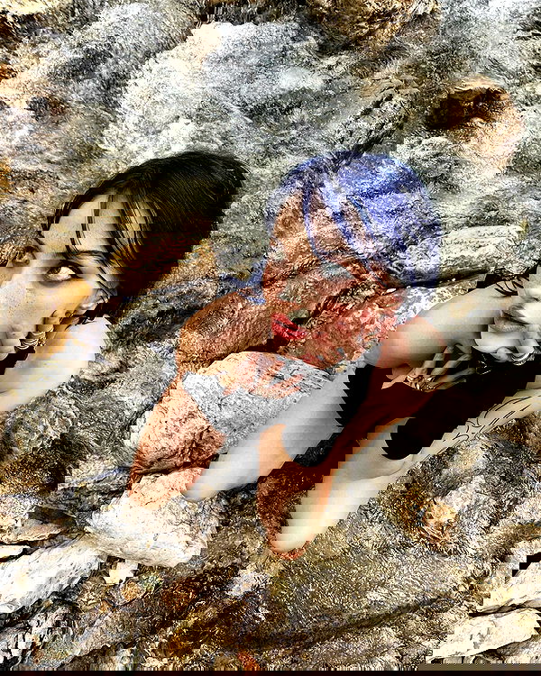 annfigma annfigma archive image