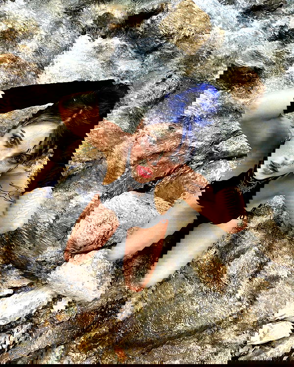 annfigma annfigma archive image