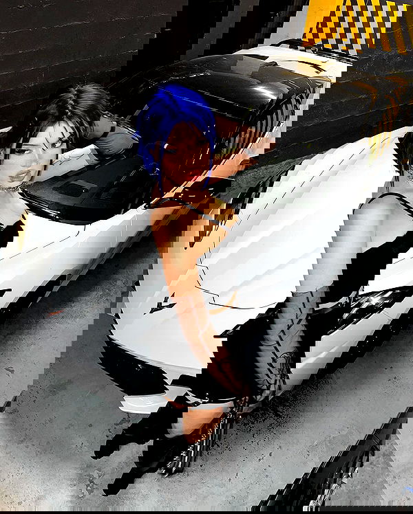 annfigma annfigma archive image