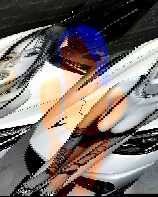 annfigma annfigma archive image