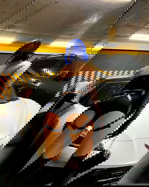 annfigma annfigma archive image