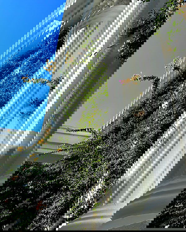 annfigma annfigma archive image