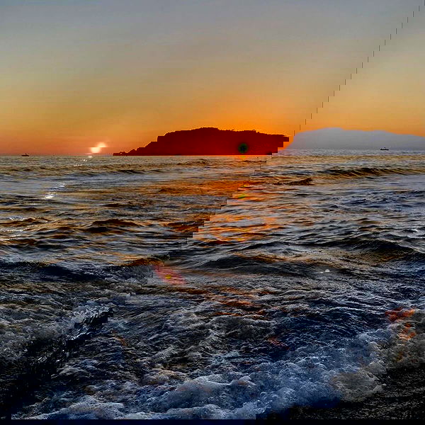 annfigma annfigma archive image