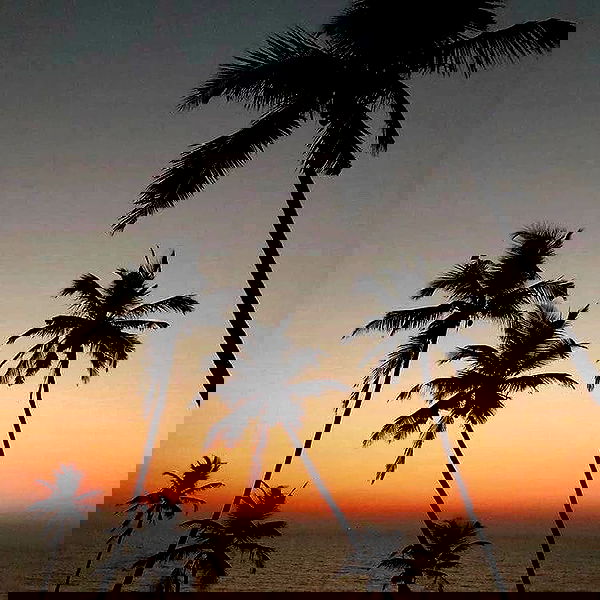 annfigma annfigma archive image