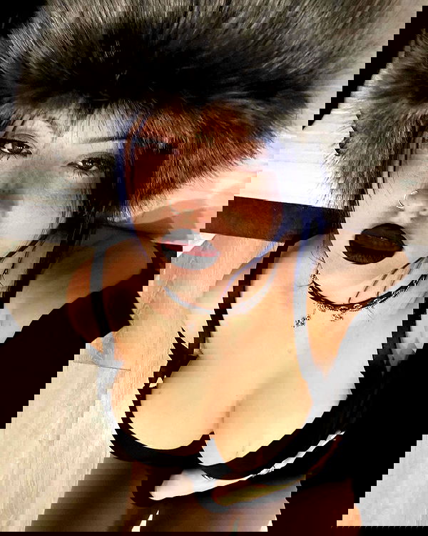 annfigma annfigma archive image