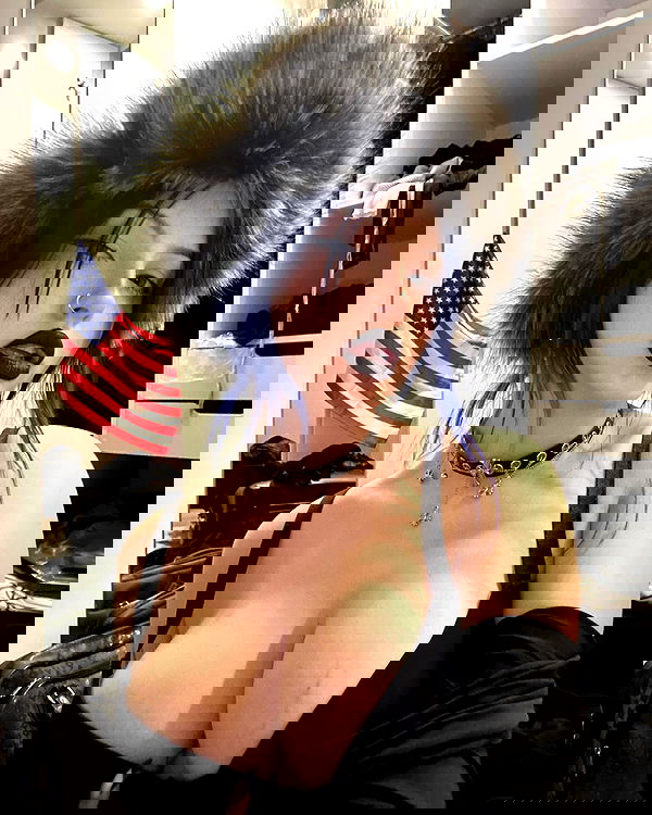 annfigma annfigma archive image