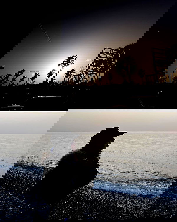 annfigma annfigma archive image