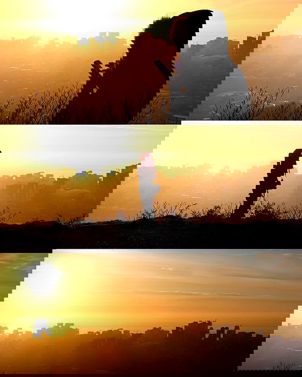 annfigma annfigma archive image