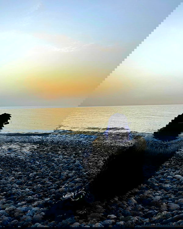 annfigma annfigma archive image