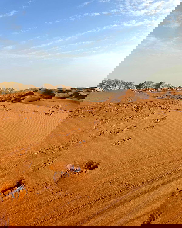 annfigma annfigma archive image