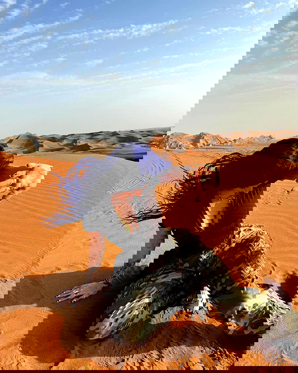 annfigma annfigma archive image