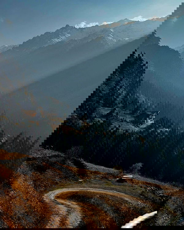 annfigma annfigma archive image