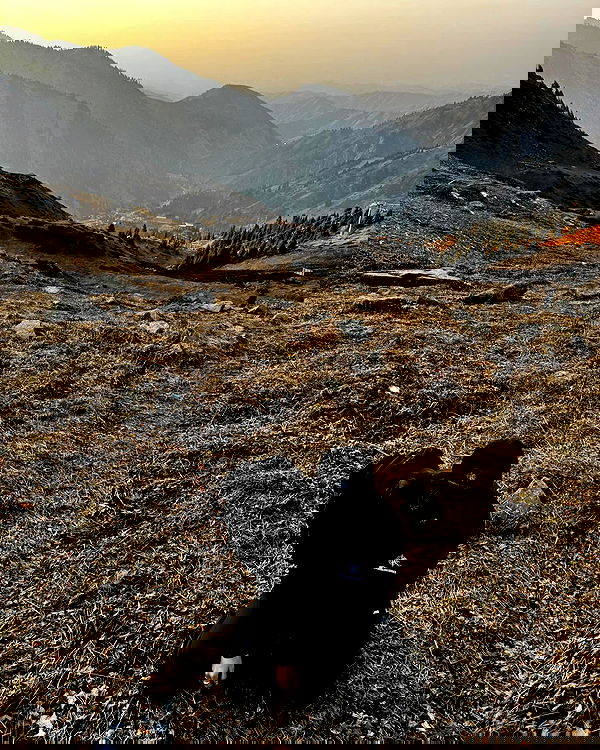 annfigma annfigma archive image